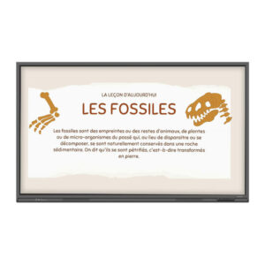 ecran-numerique-interactif-ecole-98-pouces